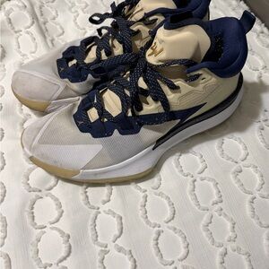 Jordan Brand (Nike) Zion 1 Navy and Cream Basketball Shoes